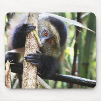 Mousepad Macaco dourado na selva africana