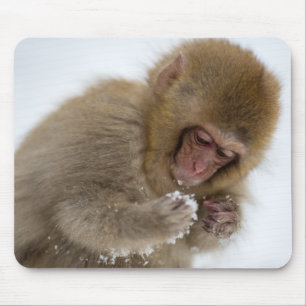 Mousepad Macaco japonês da neve do Macaque do bebê