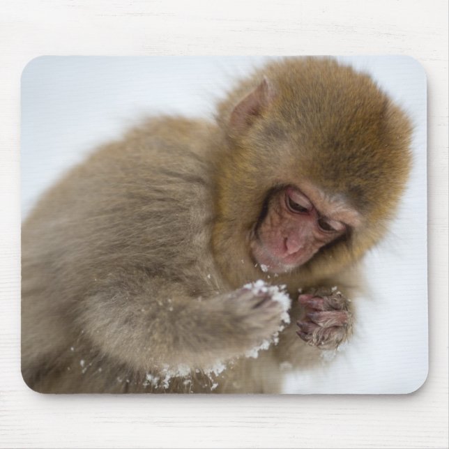 Mousepad Macaco japonês da neve do Macaque | do bebê (Frente)