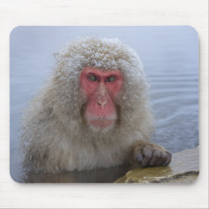 Mousepad Macaco japonês da neve no hotspring