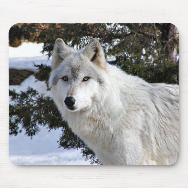 Mousepad macaco lobo (Frente)