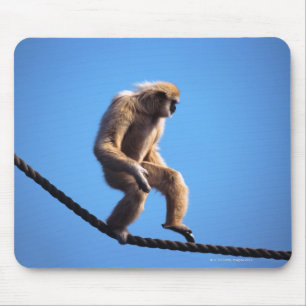 Mousepad macaco que anda na corda
