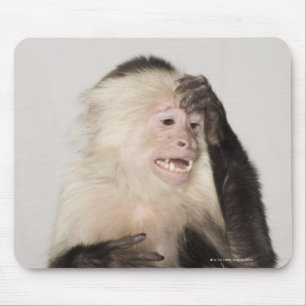 Mousepad Macaco que risca-se