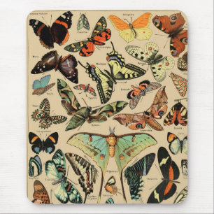 Mousepad Macaco-rato-borboleta-papilão