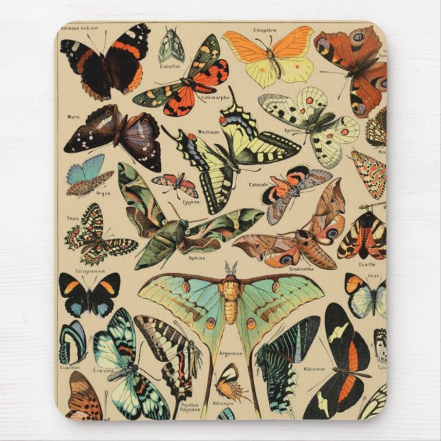 Mousepad Macaco-rato-borboleta-papilão (Frente)