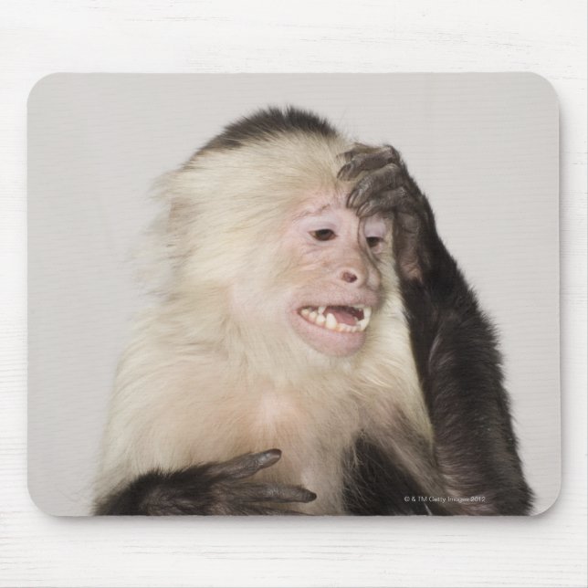 Mousepad Macaco se arranhando (Frente)