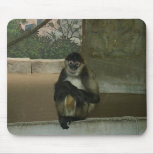 Mousepad Macaco Sentado Lindamente