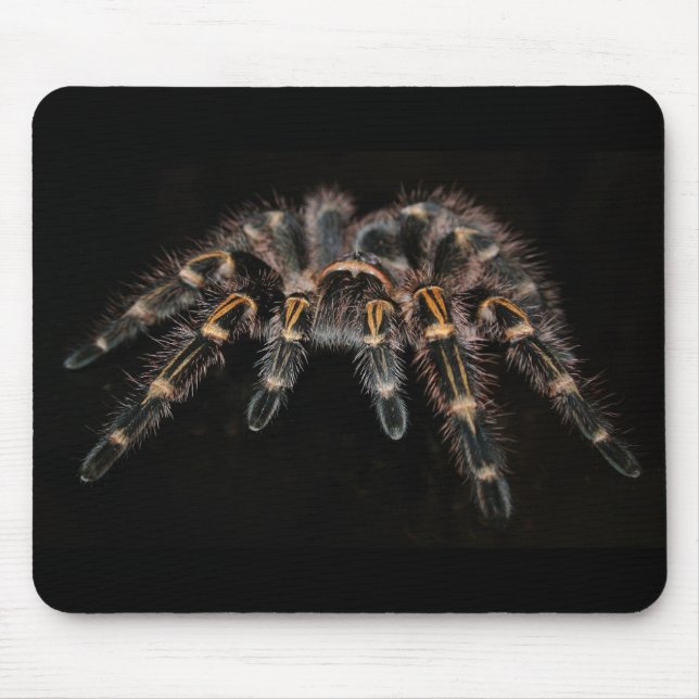 Mousepad macaco tarantula (Frente)