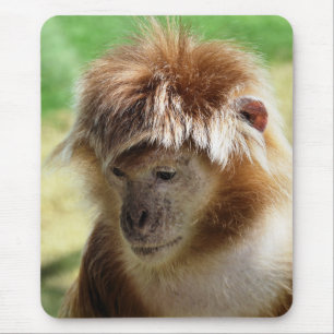 MOUSEPAD MACACOS