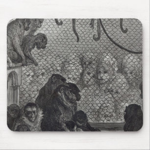 Mousepad Macacos de London