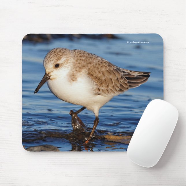 Mousepad Maçarico-cinzento Fofo Andarilho da Praia (Com mouse)