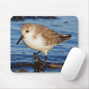 Mousepad Maçarico-cinzento Fofo Passeia pela Praia