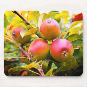 Mousepad Maçãs na árvore