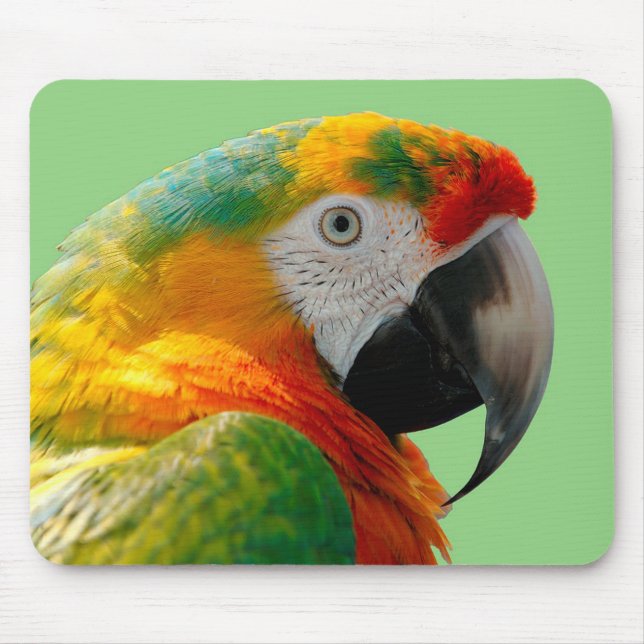 Mousepad Macaw (Frente)