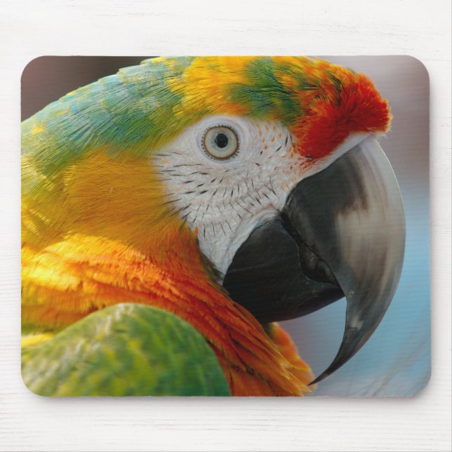 Mousepad Macaw bonito (Frente)