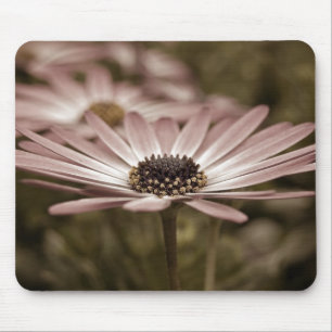 Mousepad macro Daisy Rosa