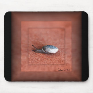 Mousepad Macro Fotografia de Caracol em Terracotta