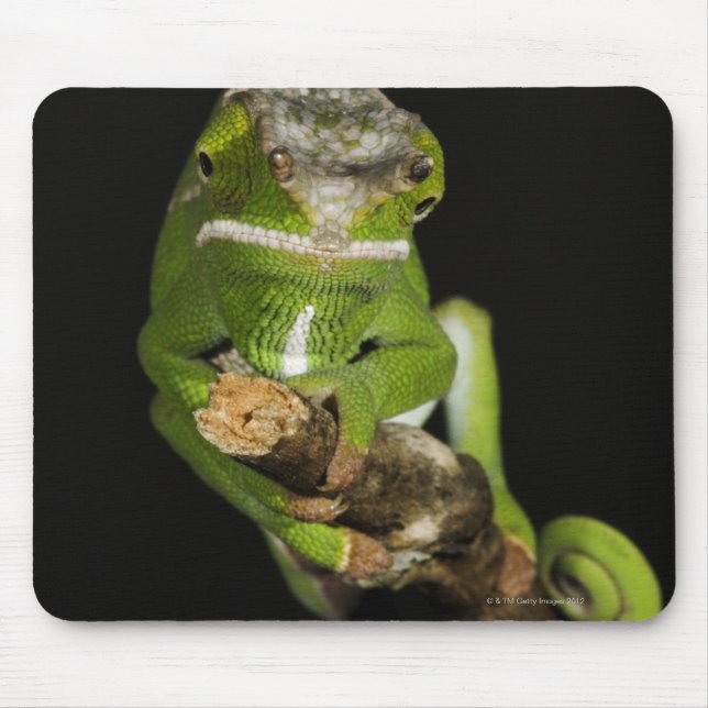 Mousepad Madagáscar (Frente)