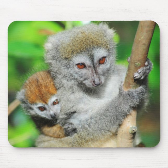 Mousepad Madagáscar, Andasibe, Ilha dos Lêmures, Mãe (Frente)