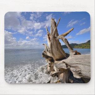 Mousepad Madeira lançada costa na linha costeira de praia