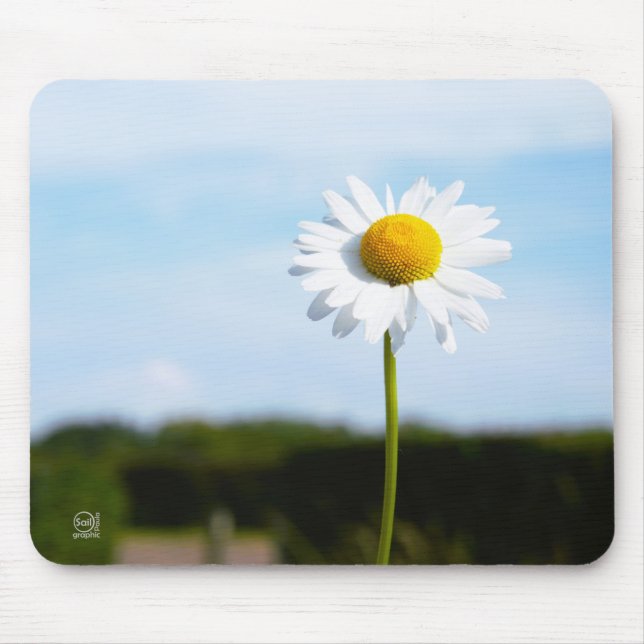 Mousepad Madelief rechtop geisoleerd in de natuur. (Frente)