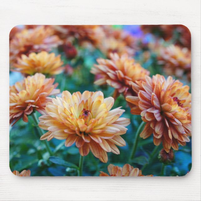 Mousepad Mãe a palavra! (Frente)