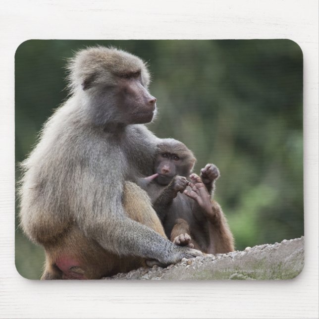 Mousepad Mãe babuína cuidando de seu jovem (Frente)