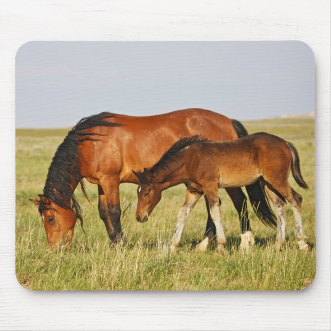 Mousepad Mãe de cavalo selvagem e potro pastando (Frente)