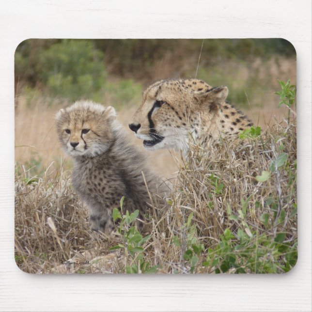 Mousepad Mãe de Guepardo e Filhote (Frente)