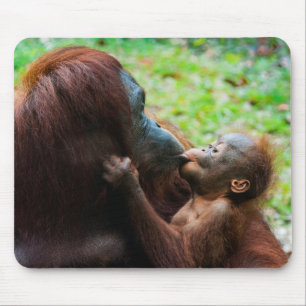 Mousepad Mãe de orangotango com bebê