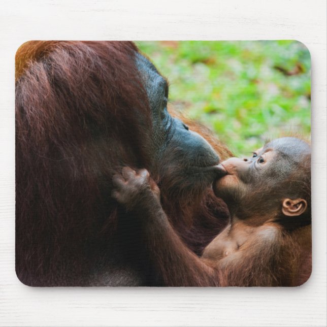 Mousepad Mãe de orangotango e bebê (Frente)