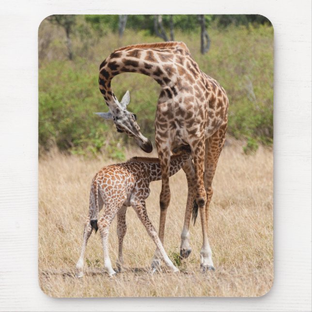 Mousepad Mãe e bebê girafa no Quênia (Frente)