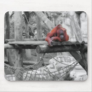 Mousepad Mãe e Bebê Orangutan