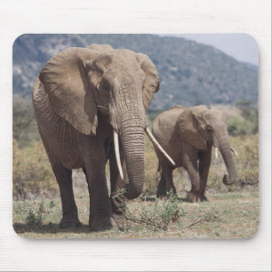 Mousepad Mãe elefante andando com filhote de elefante