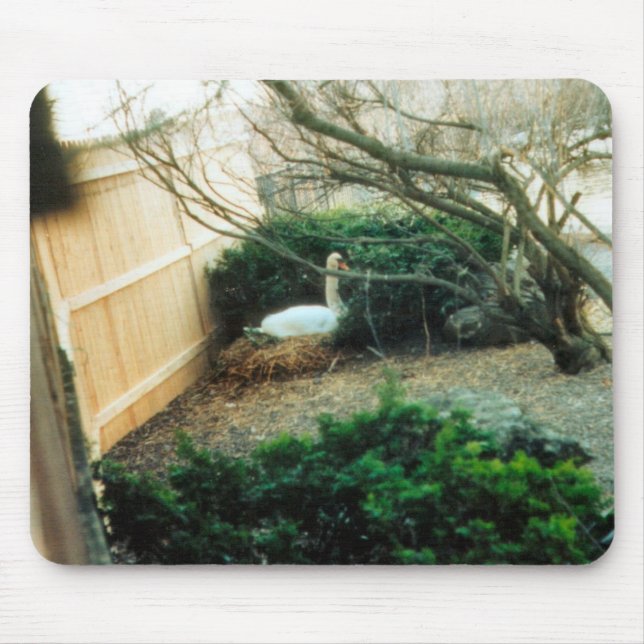 Mousepad Mãe Esperante (Frente)