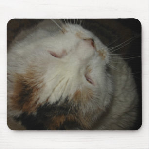 Mousepad Mãe, estou dormindo! rato-do-gato