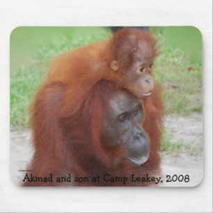 Mousepad Mãe famosa do orangotango