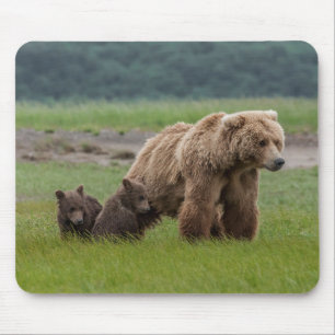 Mousepad Mãe Urso Pardo com Filhotes Gêmeos