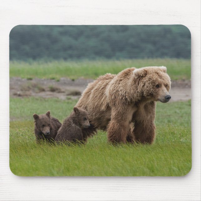 Mousepad Mãe Urso Pardo com Filhotes Gêmeos (Frente)