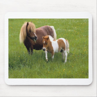 Mousepad Mães e bebês animais (17)