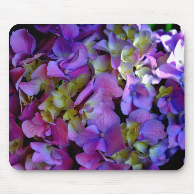 Mousepad Magenta Purple blue yellow Hydrangeas flowers (Frente)