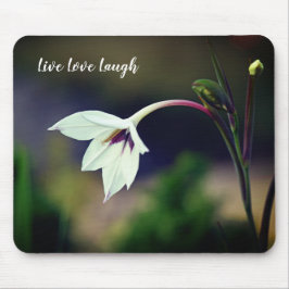 Mousepad Magneta Motivacional Flor do Jardim Gladiolus Bran