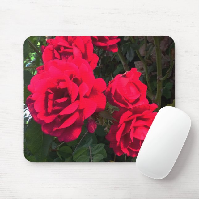 Mousepad Magnificent Red Roses (Com mouse)