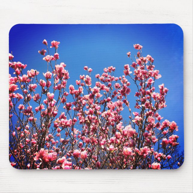 Mousepad Magnolia Blossomas Azul Céu Flor (Frente)