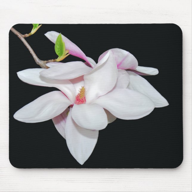 Mousepad Magnólia Branca (Frente)
