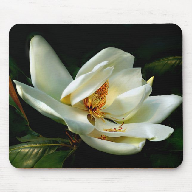 Mousepad Magnólia branca no verde (Frente)