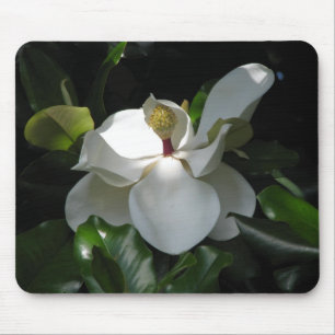 Mousepad Magnólia do sul