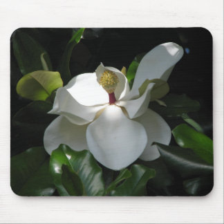 Mousepad Magnólia do sul