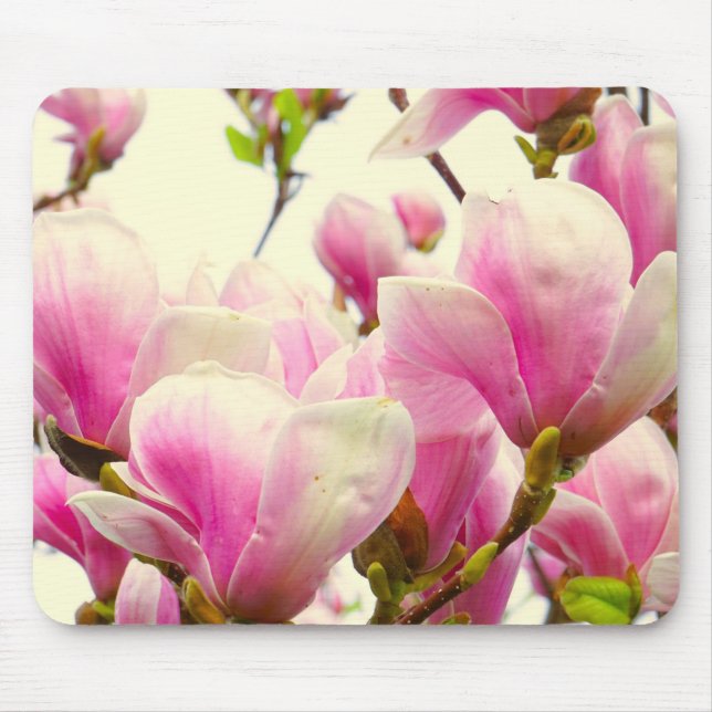 Mousepad Magnolia Flores Flores Florais Blossom Botânico Ch (Frente)