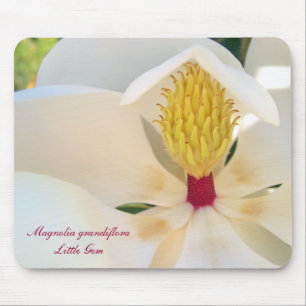 Mousepad Magnólia grandiflora 'pouco Gem